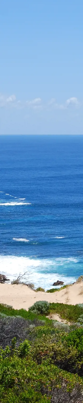 Entdecke die Natur auf dem «Cape to Cape Track»